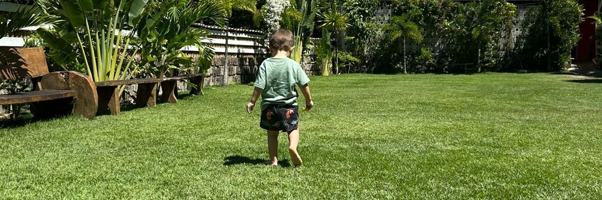 Fernando Pinheiro banner