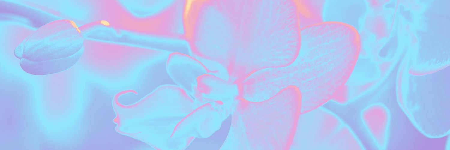 dnap372010's profile banner image