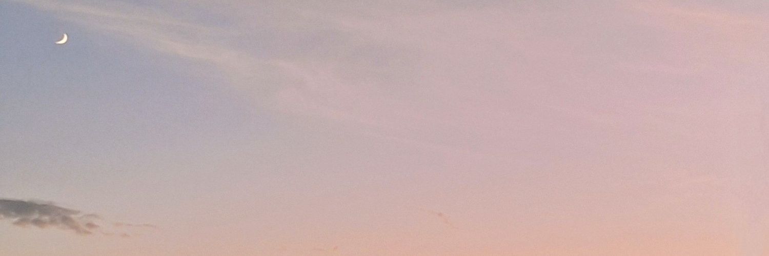nasu_337's profile banner image