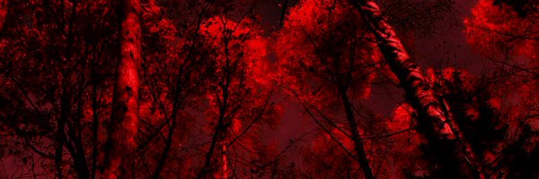 CatLilithDraws Profile Banner