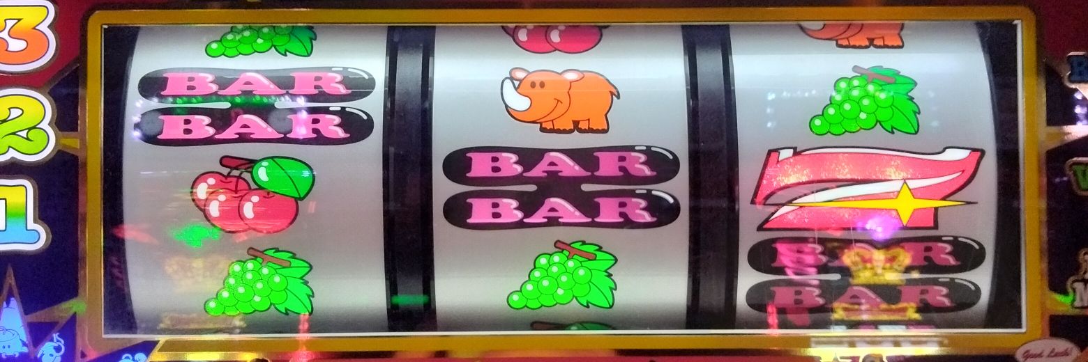 たかお banner