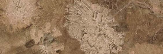 Ycharolatte's profile banner image