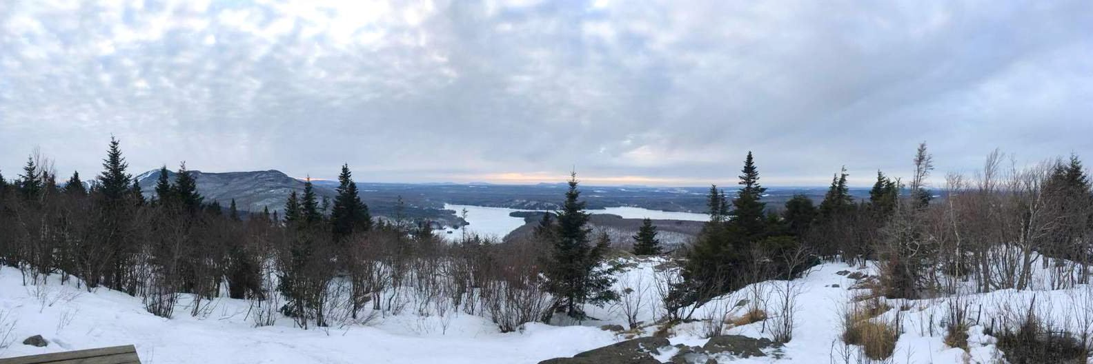 Sim 🇺🇦 🇬🇪 banner