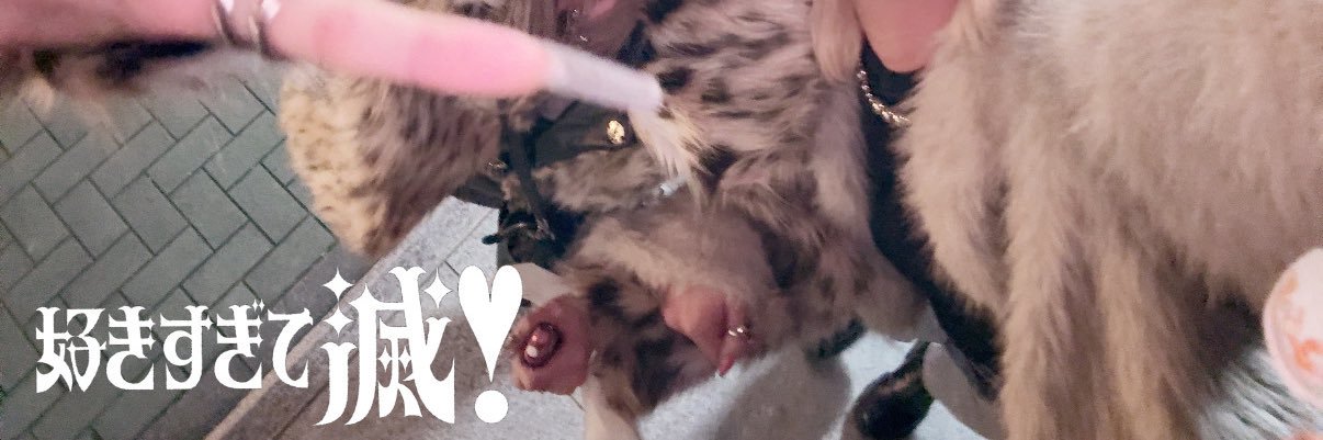 sa! banner
