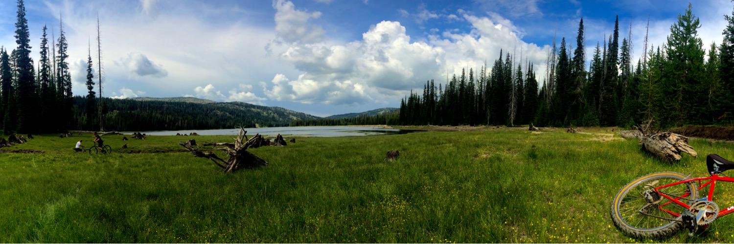delaneylane96's profile banner image
