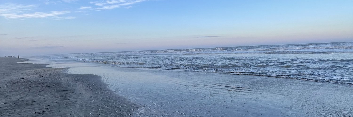 Aguflorio's profile banner image