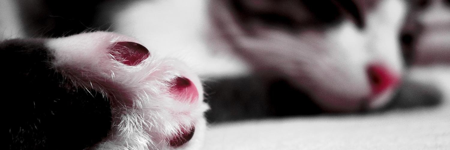 zattaTheBottle🍾🍻発売中！ banner