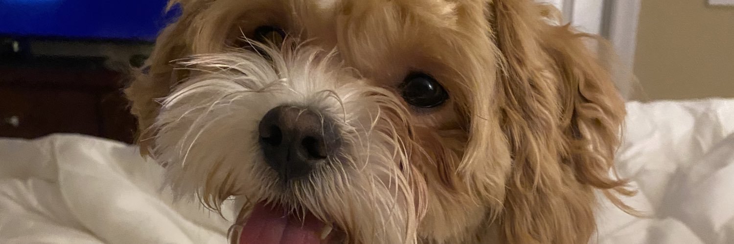 mikellepacking_'s profile banner image