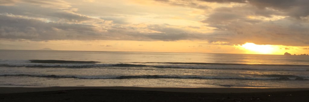 nikuuh's profile banner image