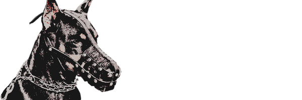 MASTERCIDES Profile Banner