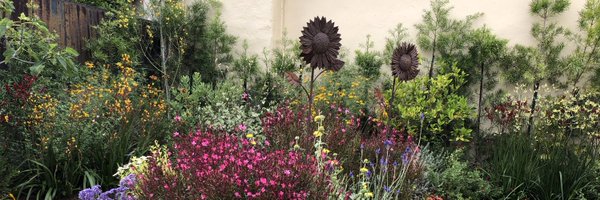 annwillmott Profile Banner