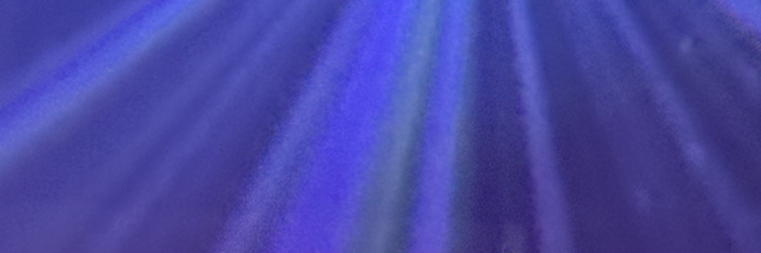 ——'s banner