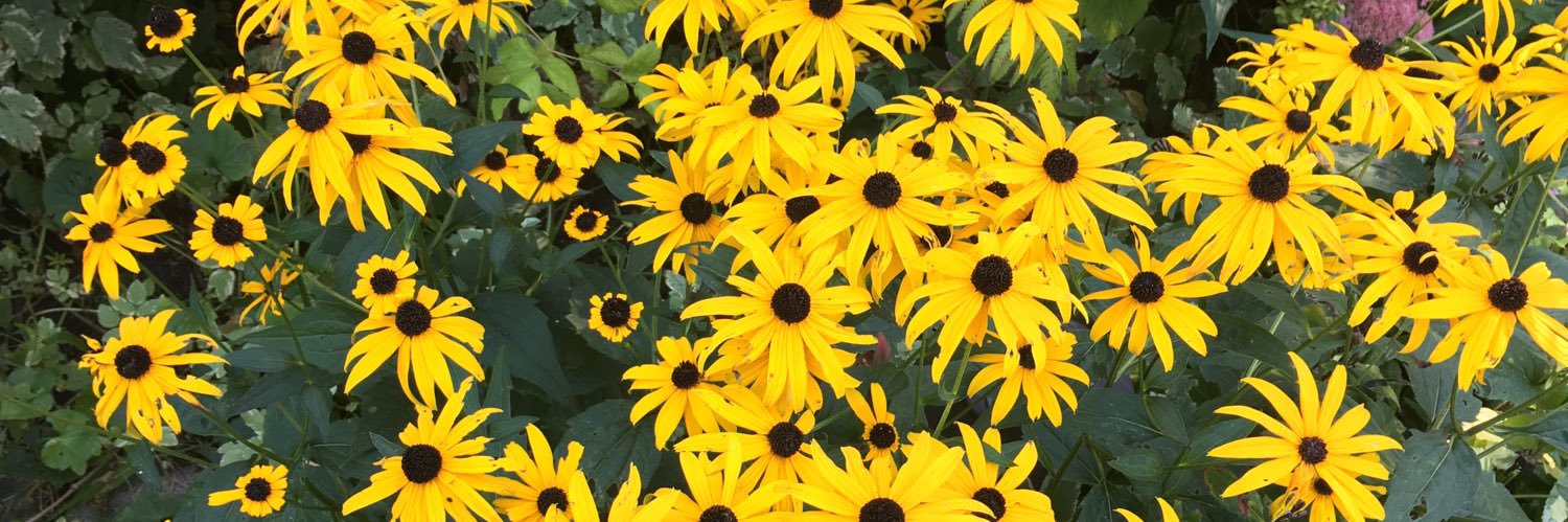LeslieAClarke's profile banner image