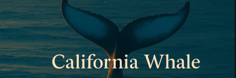 BobbyWhaleX's profile banner image