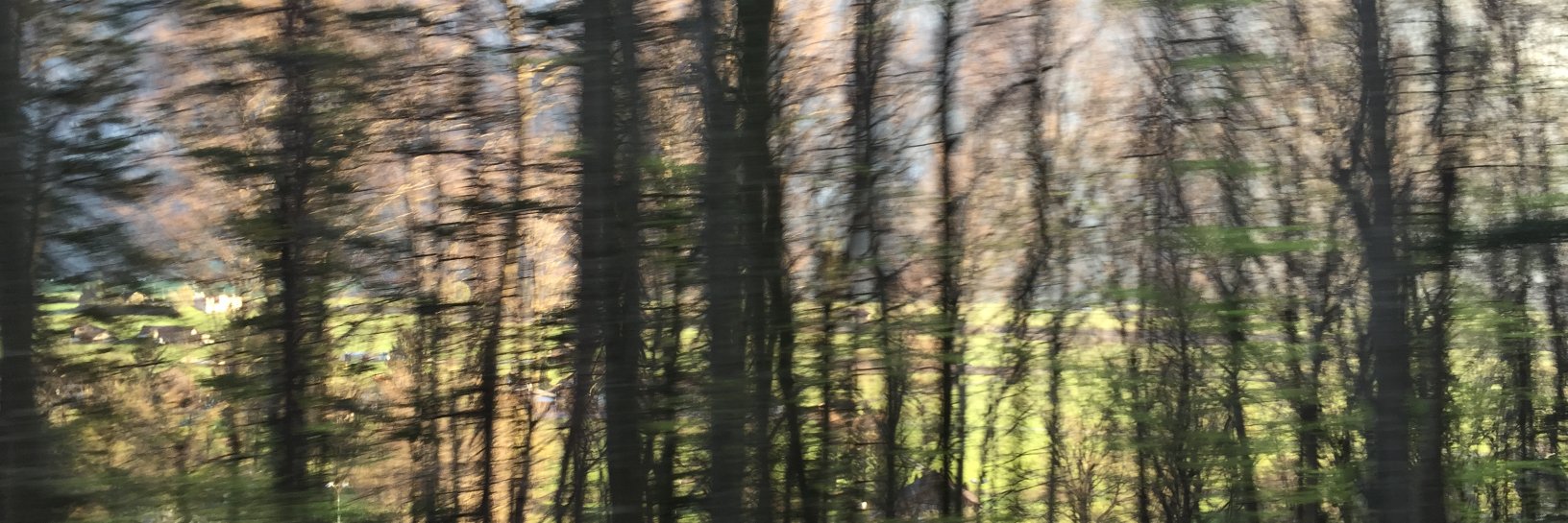 tutt3oooo's profile banner image