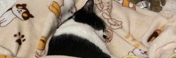 JuliaMagicNets Profile Banner