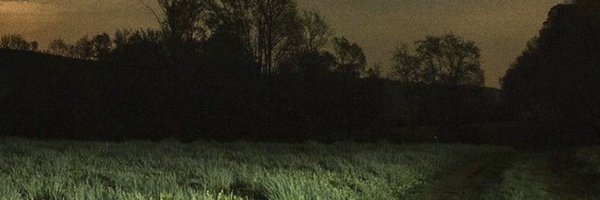 NickAugust_ Profile Banner