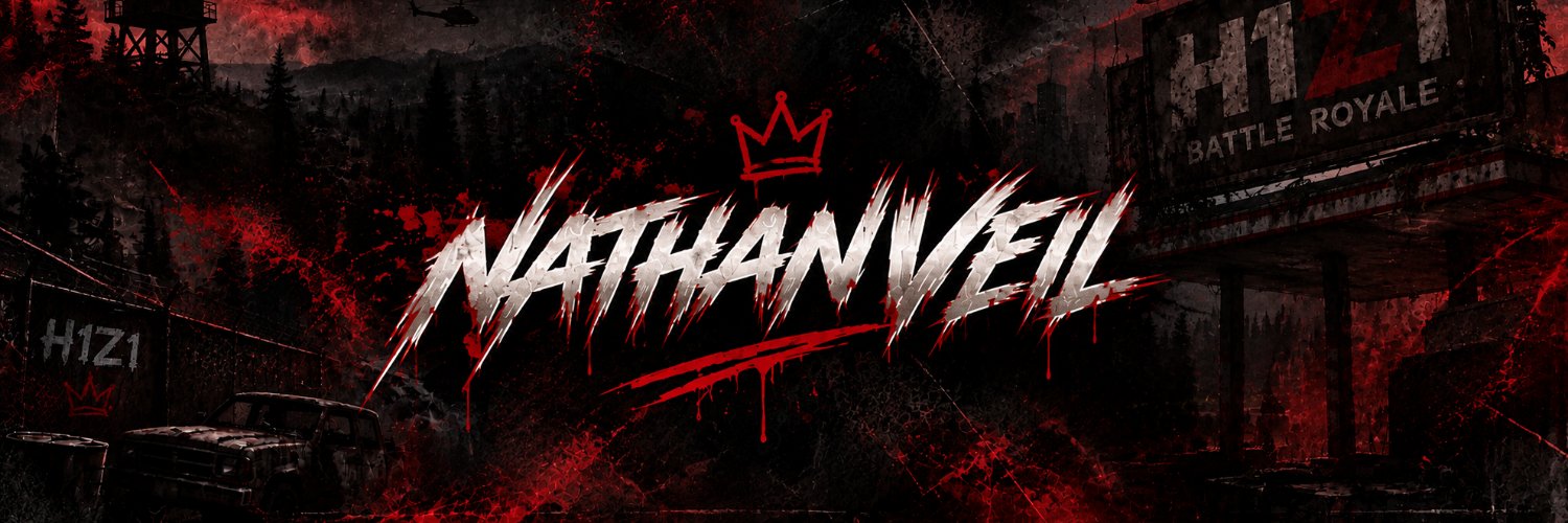 nathanveilh1's profile banner image