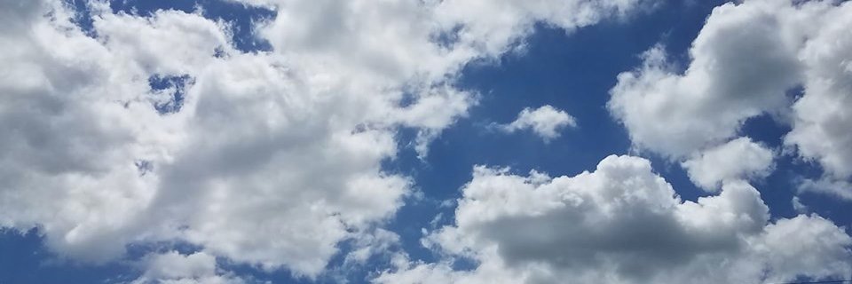 paleonard's profile banner image