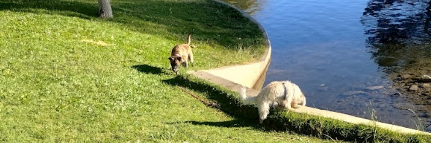 Steve Burningham banner