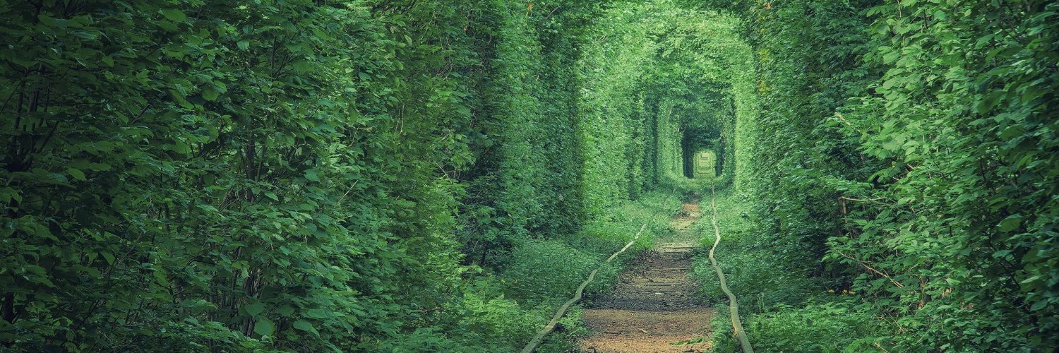 Alan Turner banner