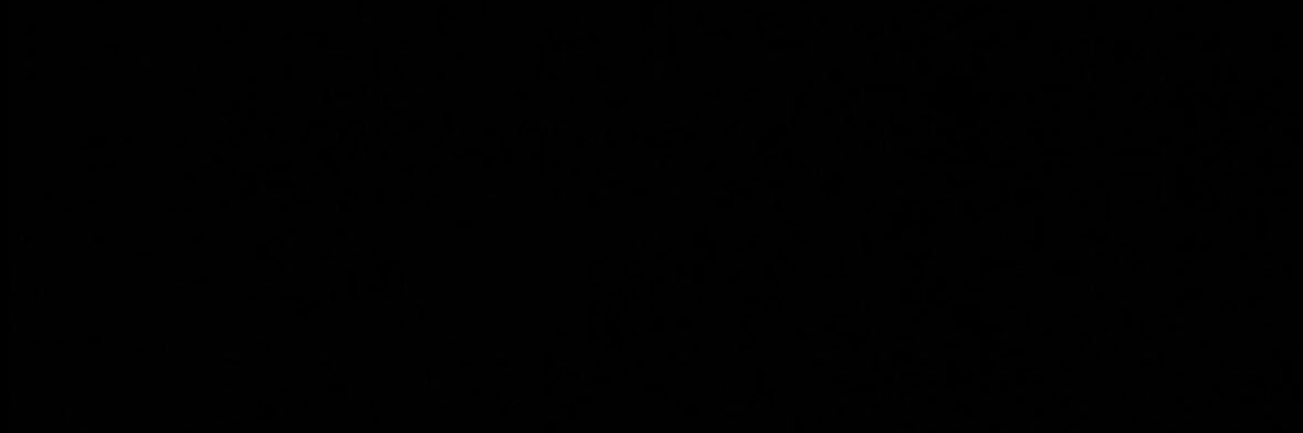 A R M A N I 🦋 banner