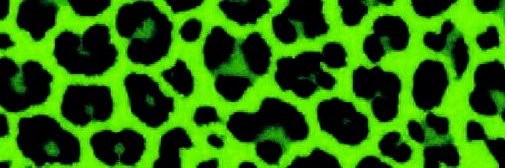 strap god, bush god, wedgie god. banner