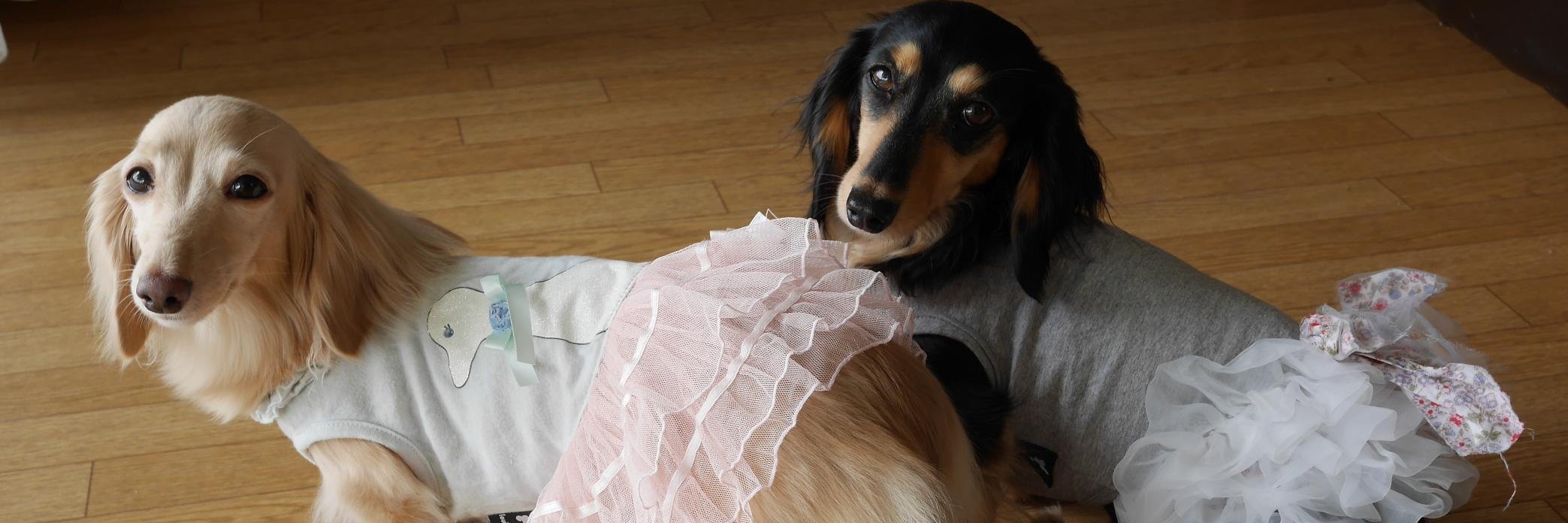 なめっち🍀🐷🟦 banner