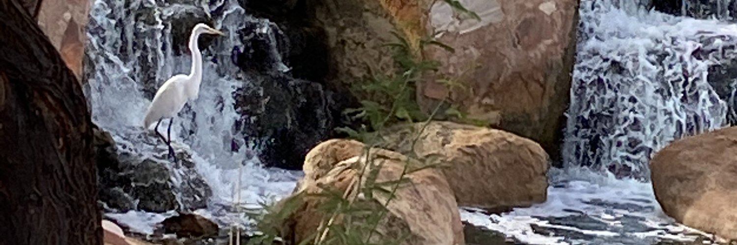 Gayle Peters banner