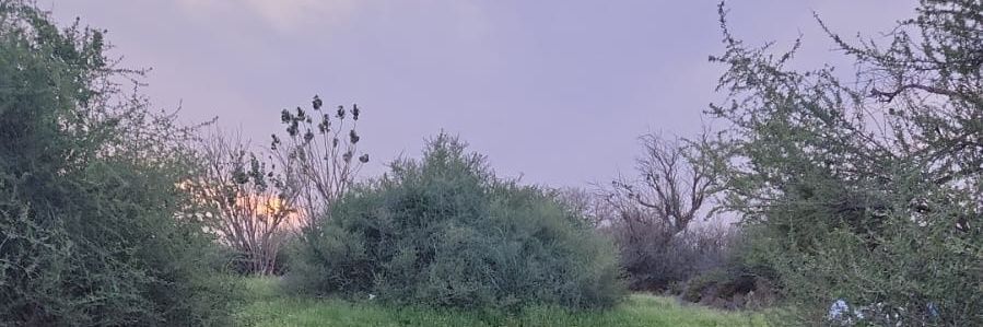 Shqrrran's profile banner image