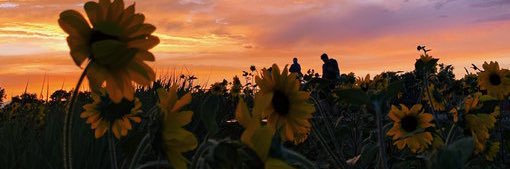 🌻 Raven Danielle 🌻 banner