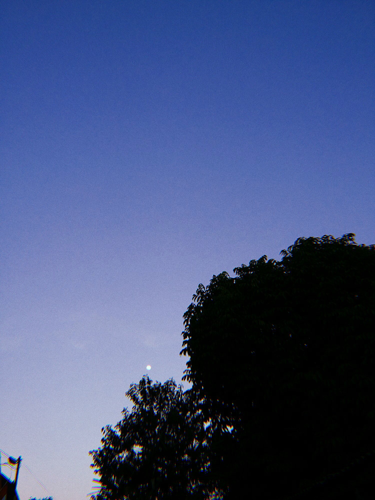 DiandraRG's profile banner image