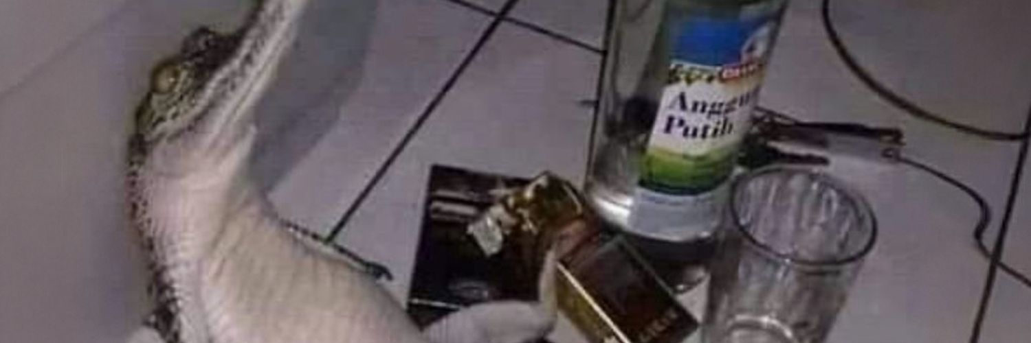 LaterGator banner