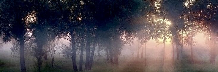 ☆ darya ᐢᗜᐢ banner