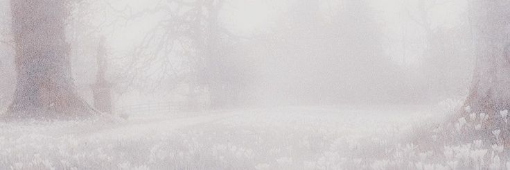きい♂️ banner
