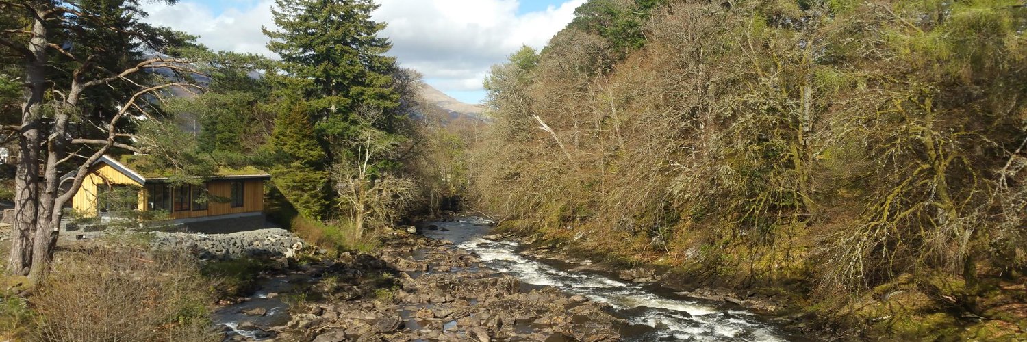 Michael Foley banner