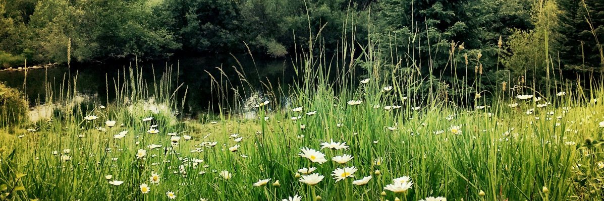 teresaokeefe's profile banner image