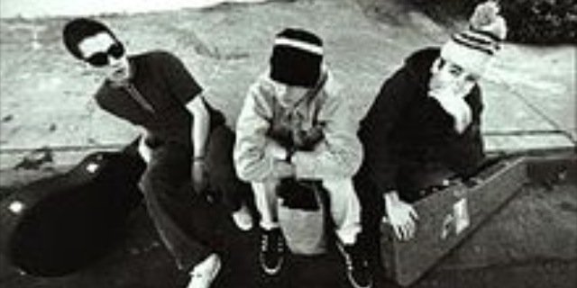 chalkymammal's profile banner image