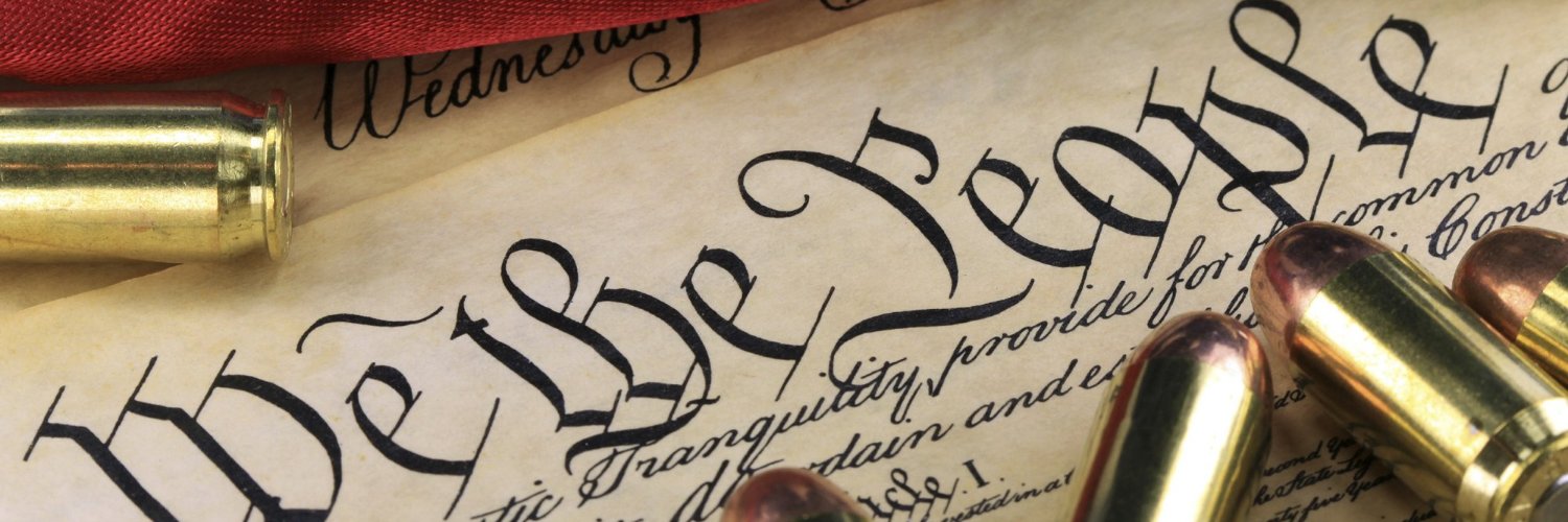 Freedom Fighter banner