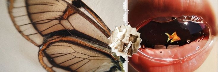 💭's banner