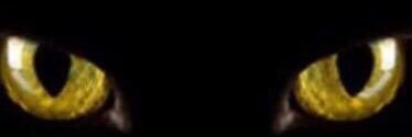 munrra92's profile banner image