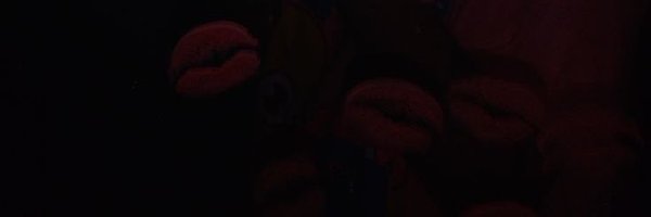 0xRenny Profile Banner