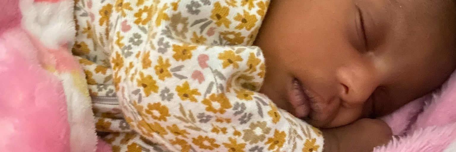 Bree ° banner