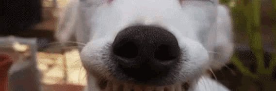 𝓯𝓻𝓮𝓪𝓴𝔂 cheese 👅 banner