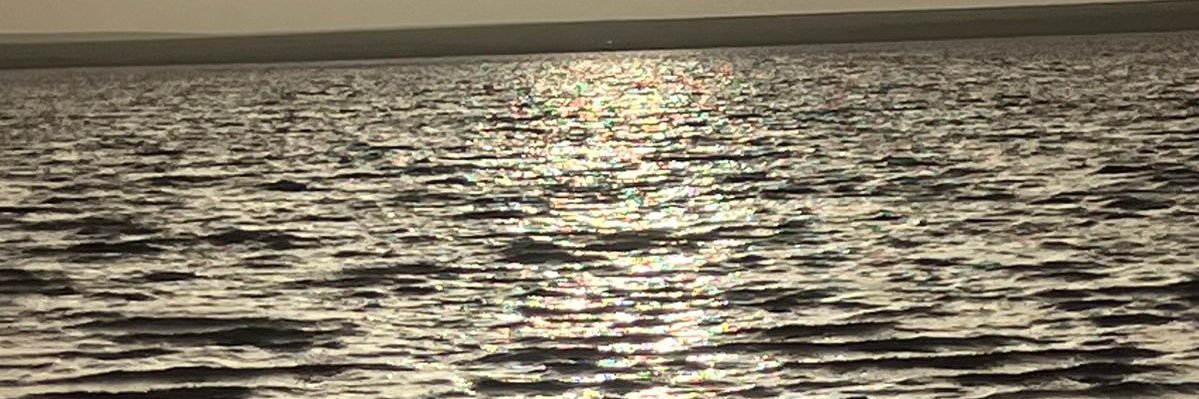 4_a0ny's profile banner image