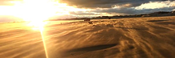 modelprogrammer Profile Banner