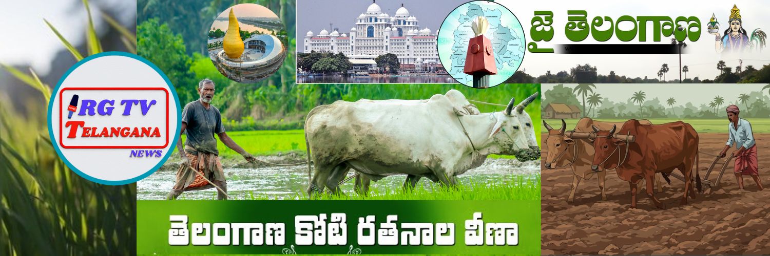 RGTVHD9949's profile banner image
