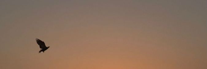 Pleasant2024's profile banner image