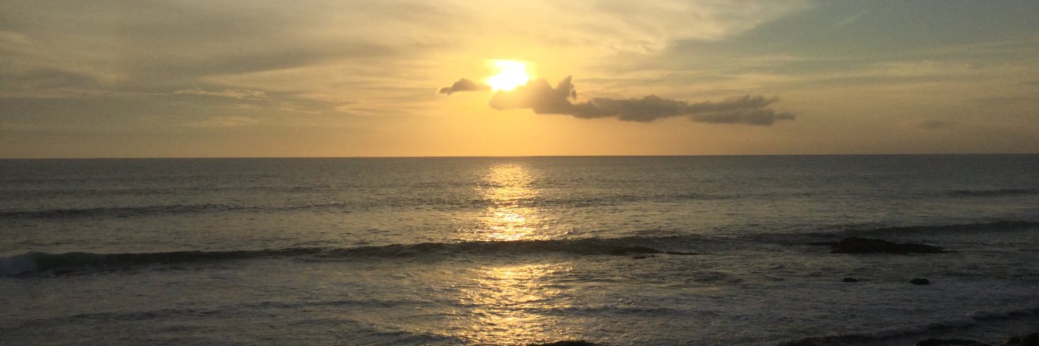 nyankoo6's profile banner image