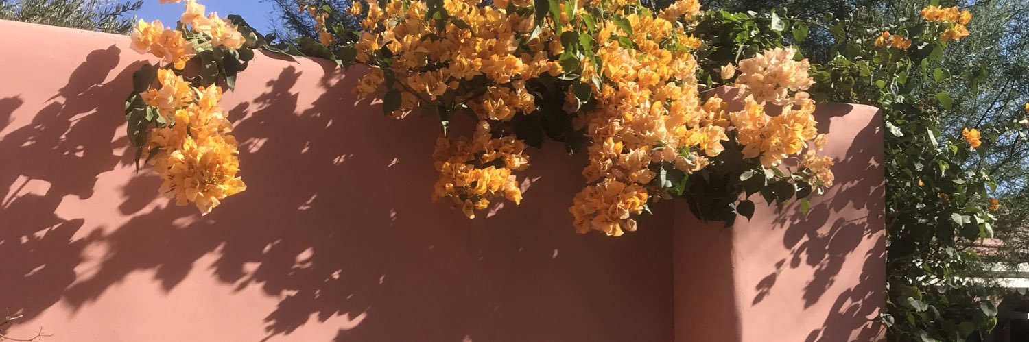 drewsterss's profile banner image